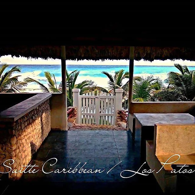 La Mami River Beach - Caribean House Bed & Breakfast Los Patos